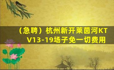 宁波夜场招聘